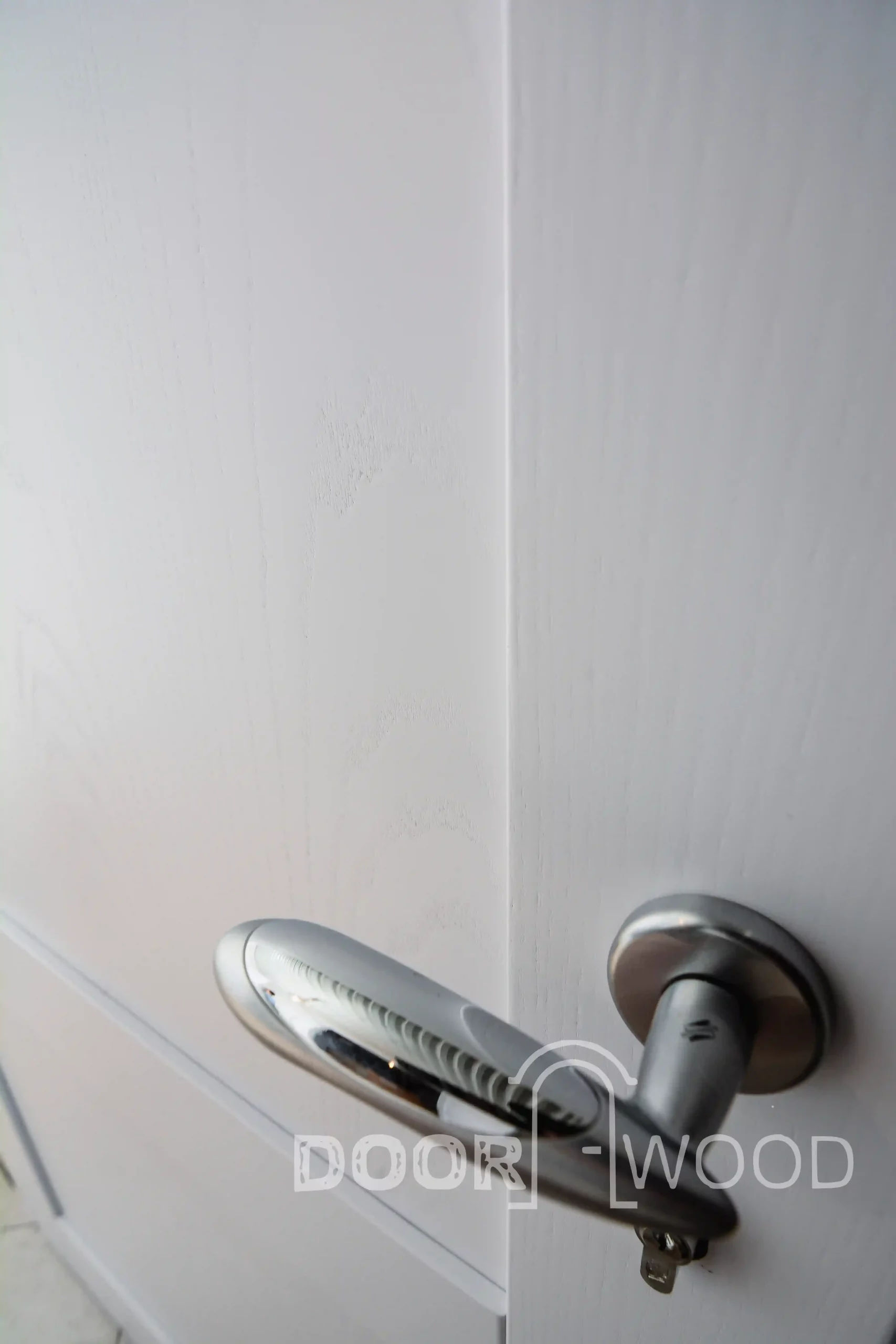 Радиусные межкомнатные двери и ограждение из клена двери из ясеня покраска по RAL белые двери цокольного этажа