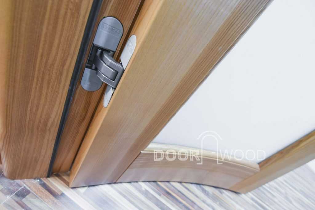 hidden loops on radius doors